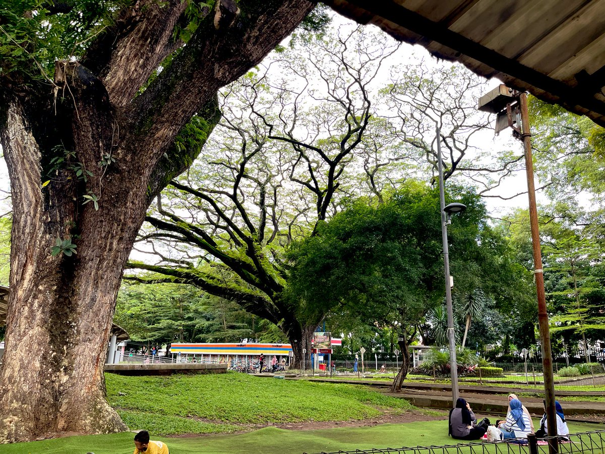 395pages's tweet photo. My baby isn’t baby anymore https://t.co/cUHHSnaqvg