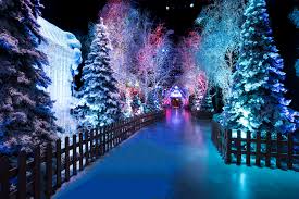 Marchants Coaches tweet media