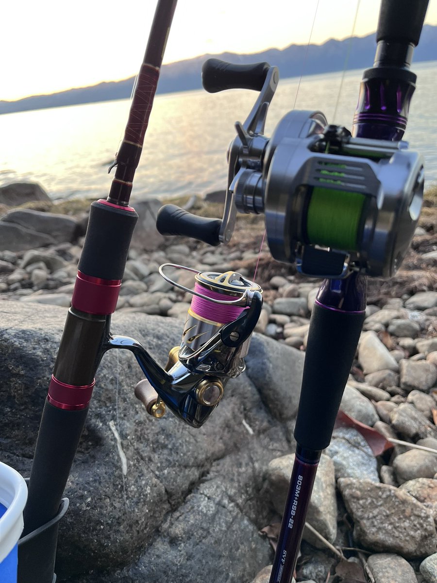 ハートランドリベラリスト803M+ ハートランド 別誂 冴掛 7102L+ 別誂は