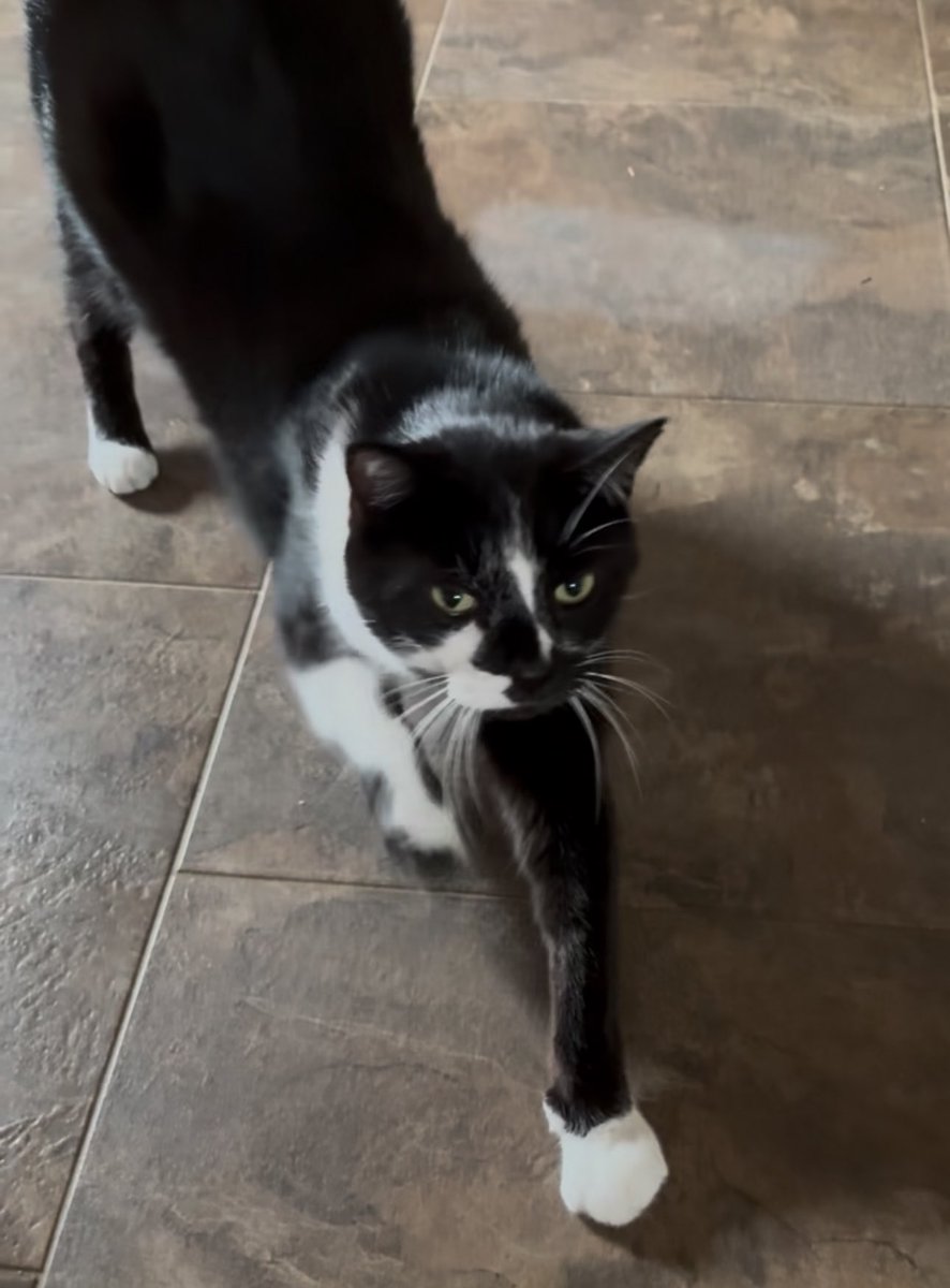 DontLookTop's tweet image. the unrequited dream