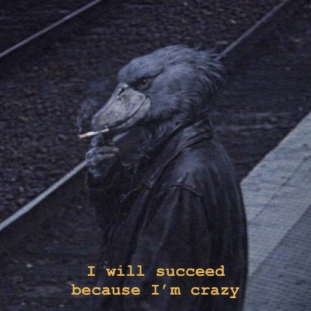 Gm to those who still gm