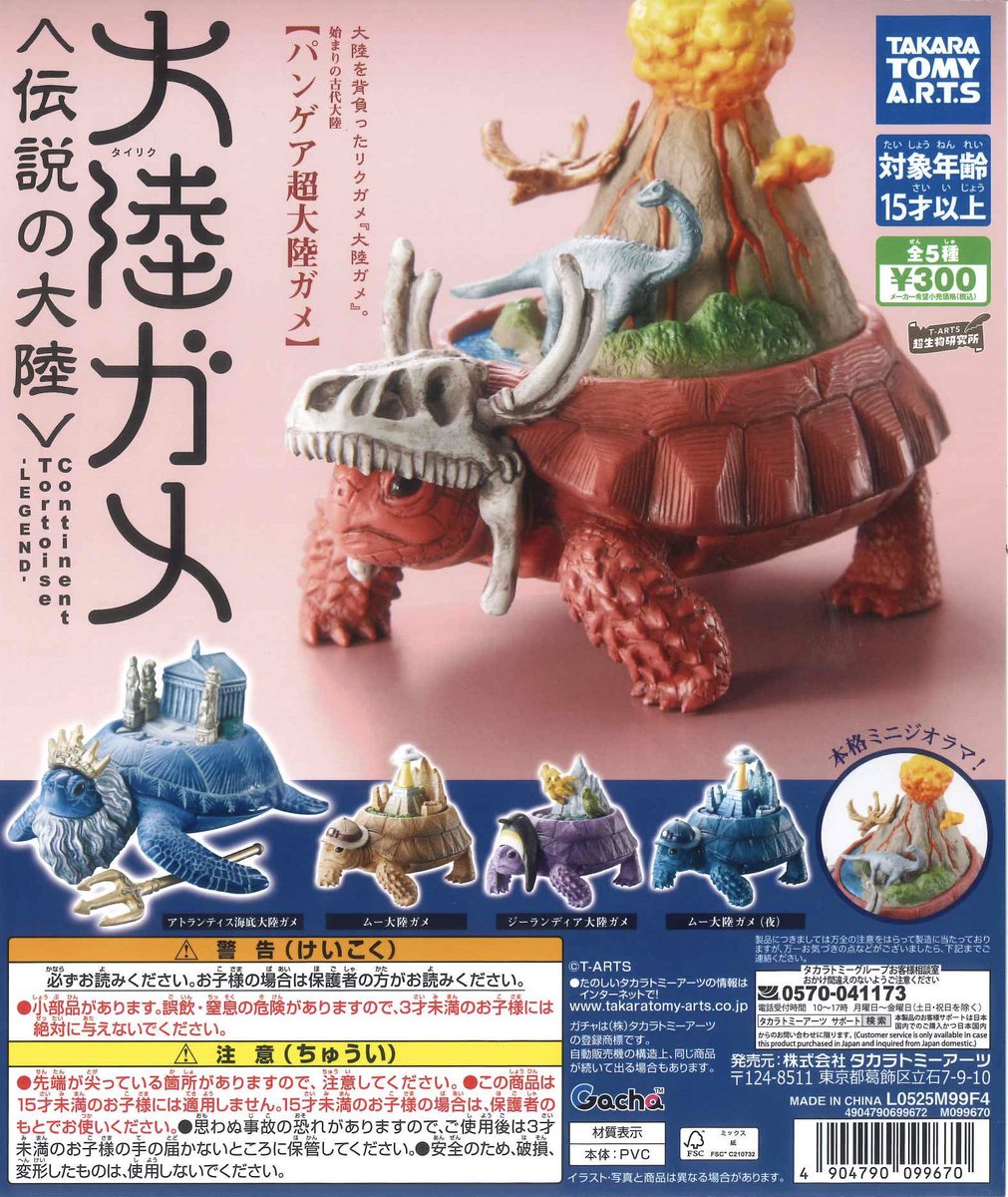 ⭐️スタッフおすすめ⭐️ 【大陸ガメ-タイリクガメ- 〈伝説の大陸