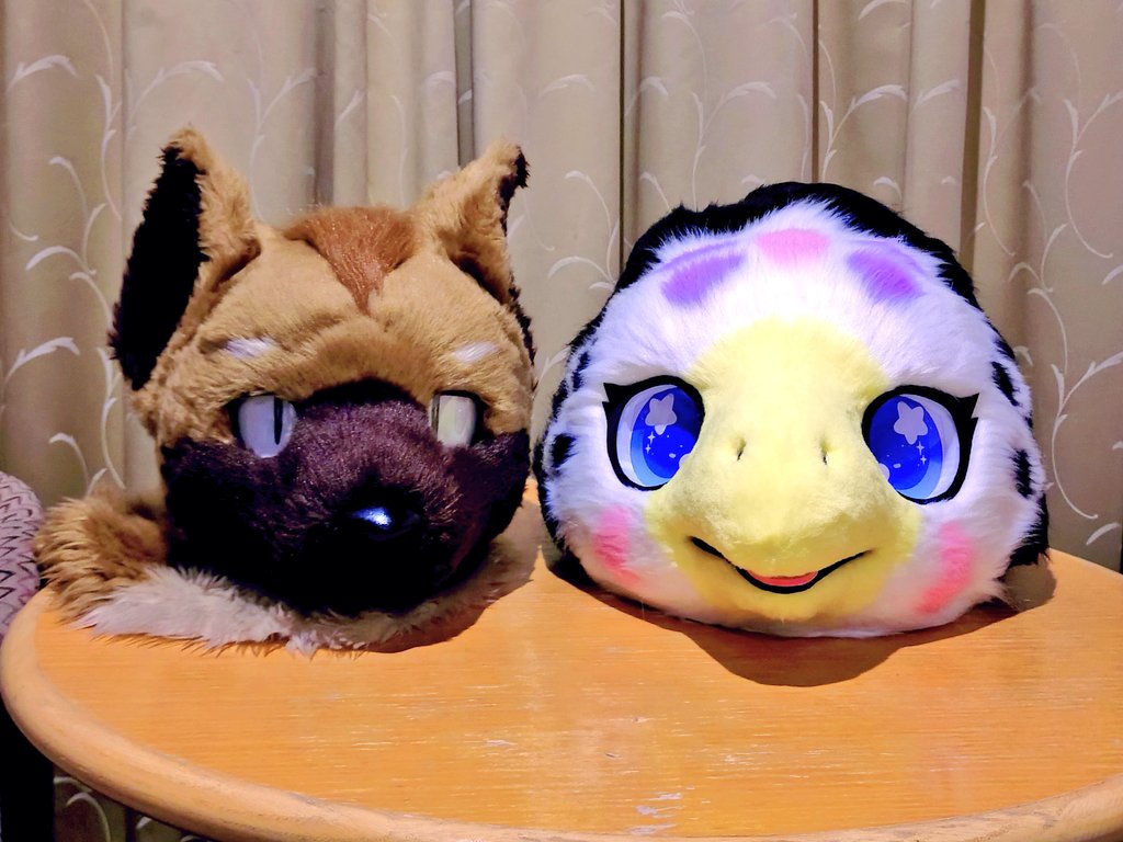 imoja211's tweet image. JMoF開幕‼️