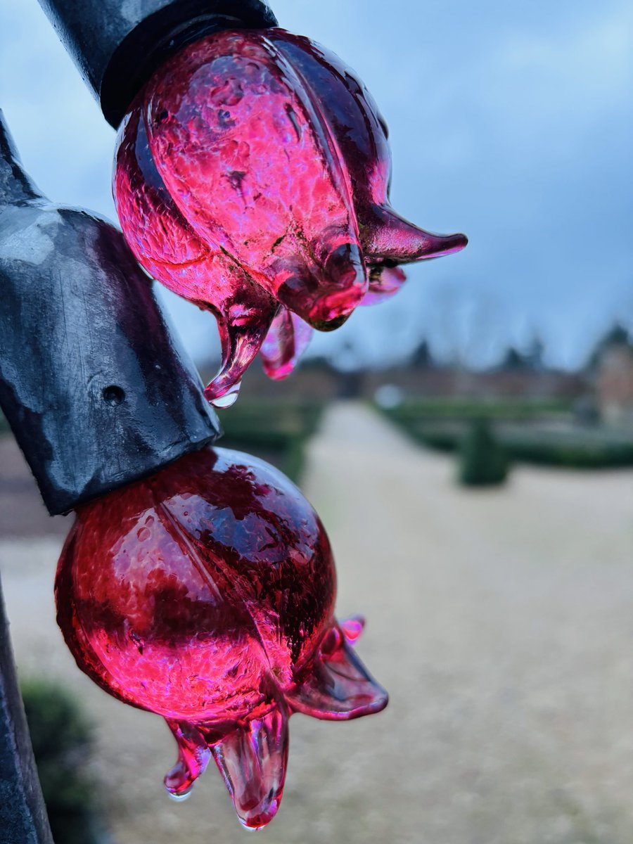 pat havers tweet media