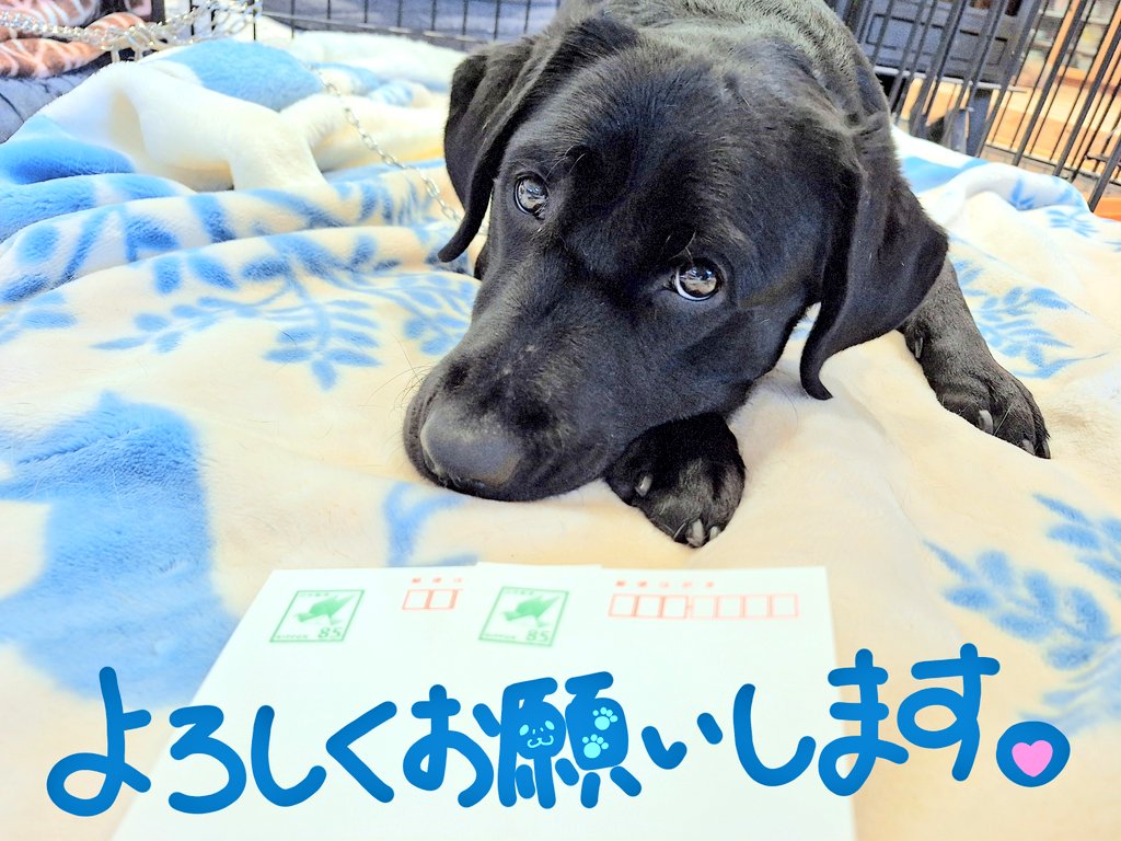 なおなお (@1119naonao) / Posts / X