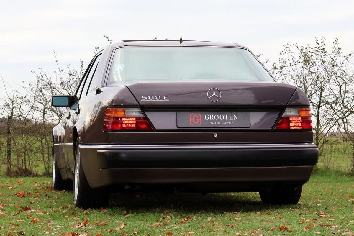 Lewis Kingston tweet media