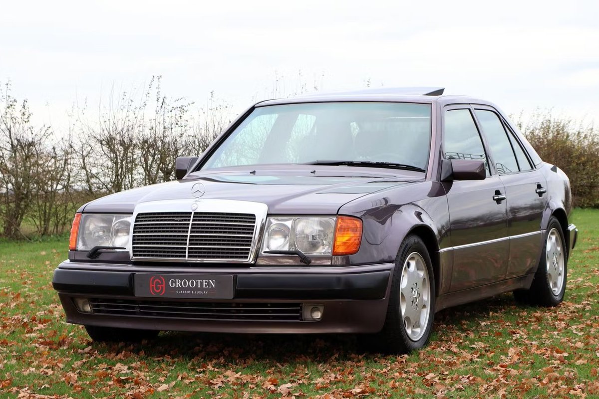 Lewis Kingston tweet media