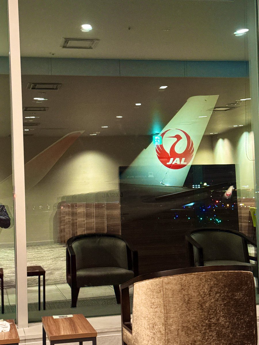 the_Chuo_Line's tweet image. 窓からJAL🐰