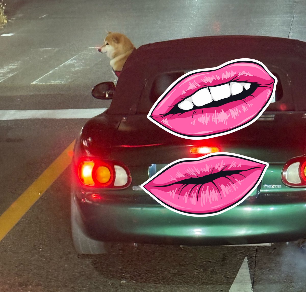 291　❁⃘ルージュ❁⃘ 💥New LEGO Botanicals & Ninjago 2x Insider Points Promo💥 The