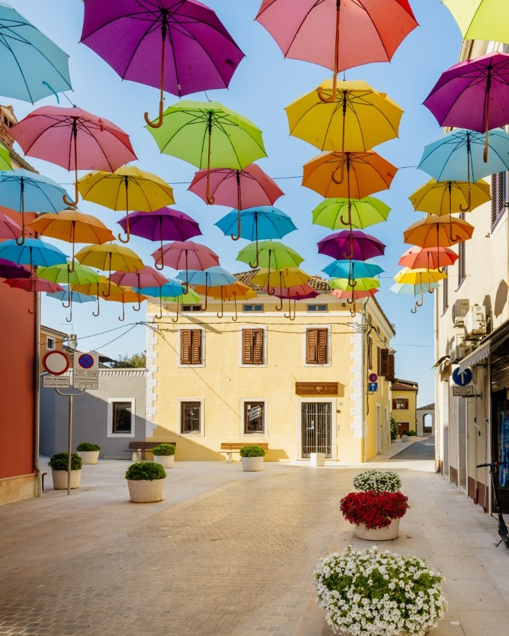 Colours of Istria tweet media