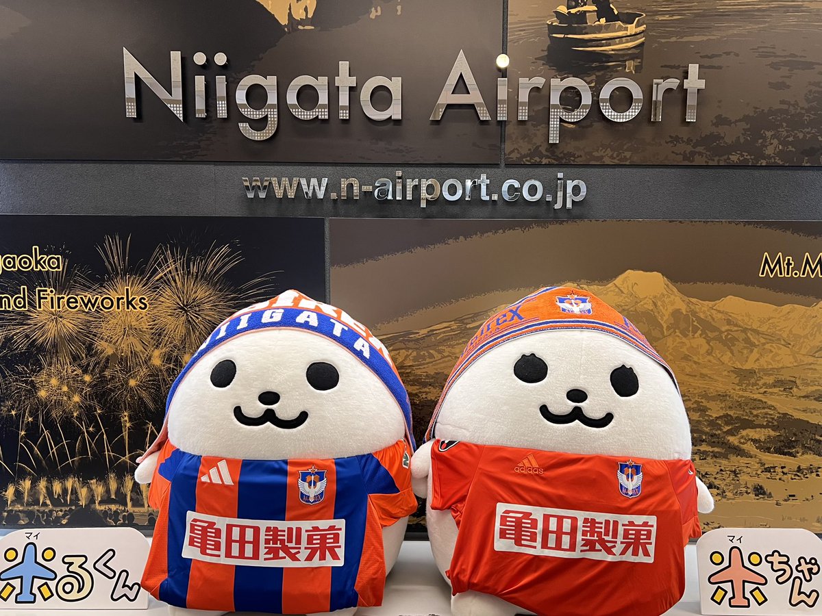 こんばんは！米るくんだよん🎶

今日は #アルビレックス新潟 の選手のみんなが宮崎キャンプに出発したよん！⚽️✈️

米ちゃんと一緒にサポーターになってお見送りしたよん✨

選手のみんな、頑張ってきてねん！応援してるよん！📣