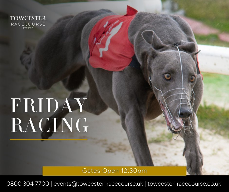 Towcester Racecourse tweet media