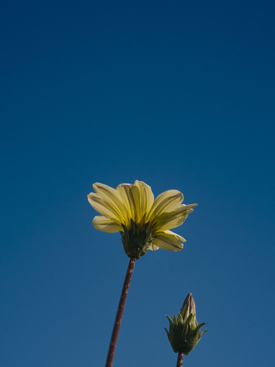 supersub_aka's tweet photo. TOKYO "BLUE" SKY https://t.co/PAMFuynwsT