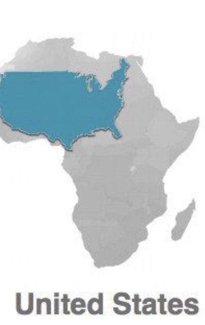 The Burner York Times tweet media