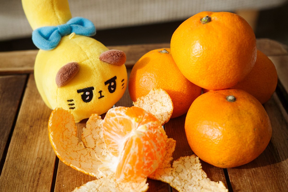 みかんもね、わるくないよね・・・
