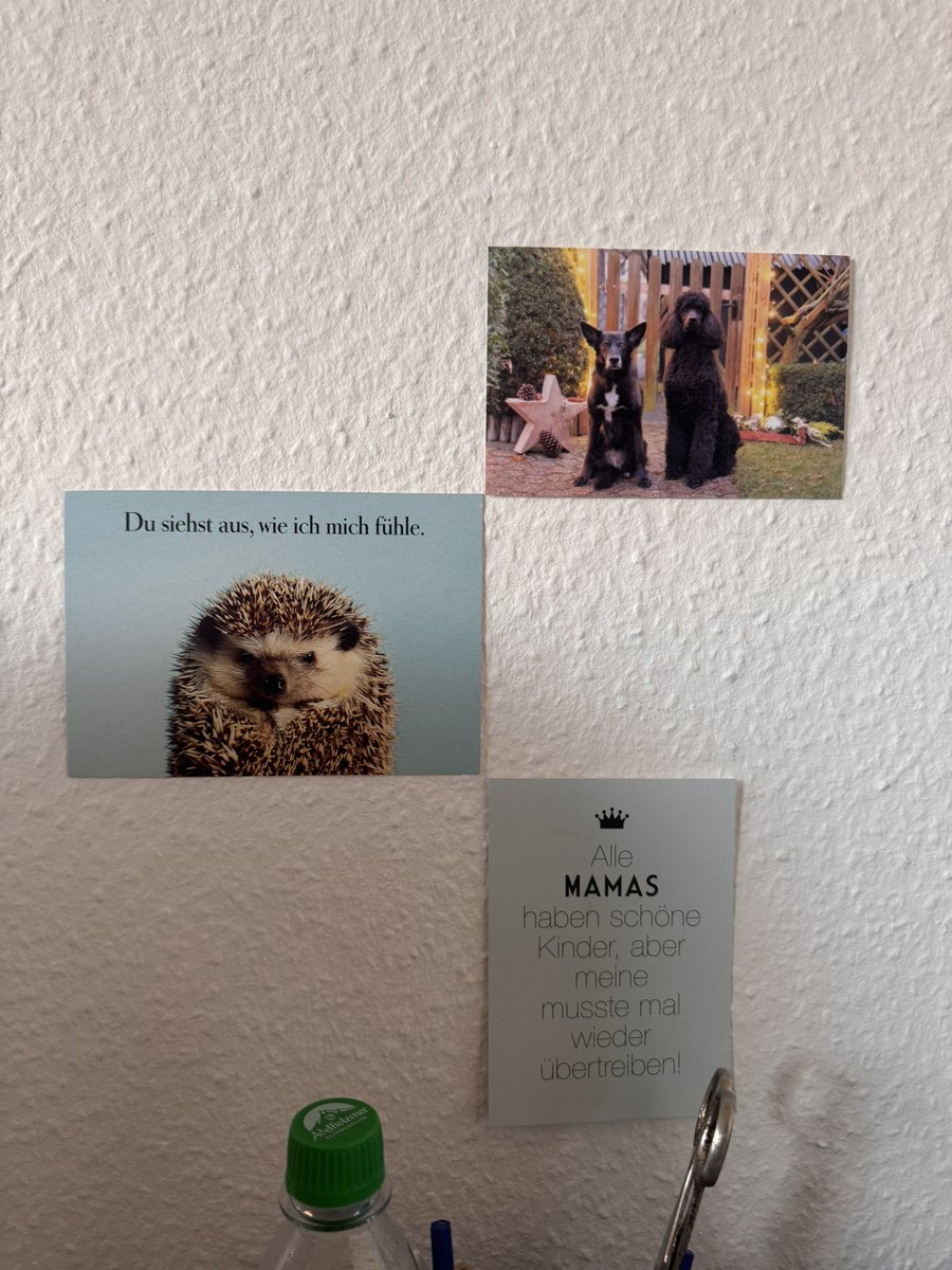 MatFreund's tweet image. Büro von meiner Mama zu tuff