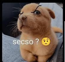 Oriel0's tweet photo. @HaroldOlcc Yo comprarto lo que  dice craea pero que tiene que ver una cosa con la otra? https://t.co/FEDClpMHHJ