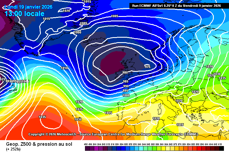 AllNature tweet media