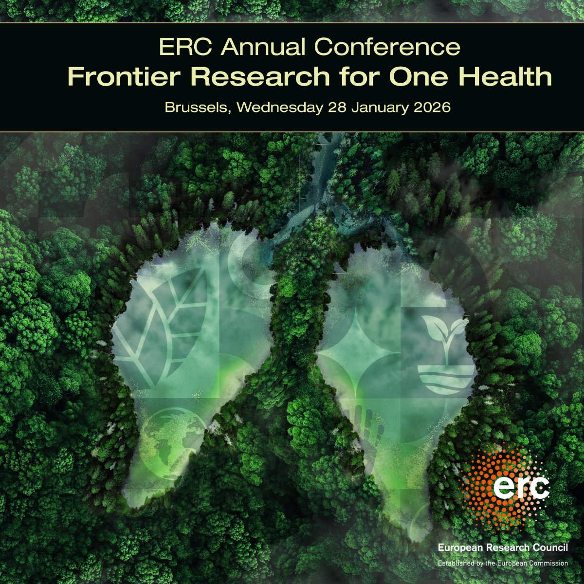 European Research Council (ERC) tweet media