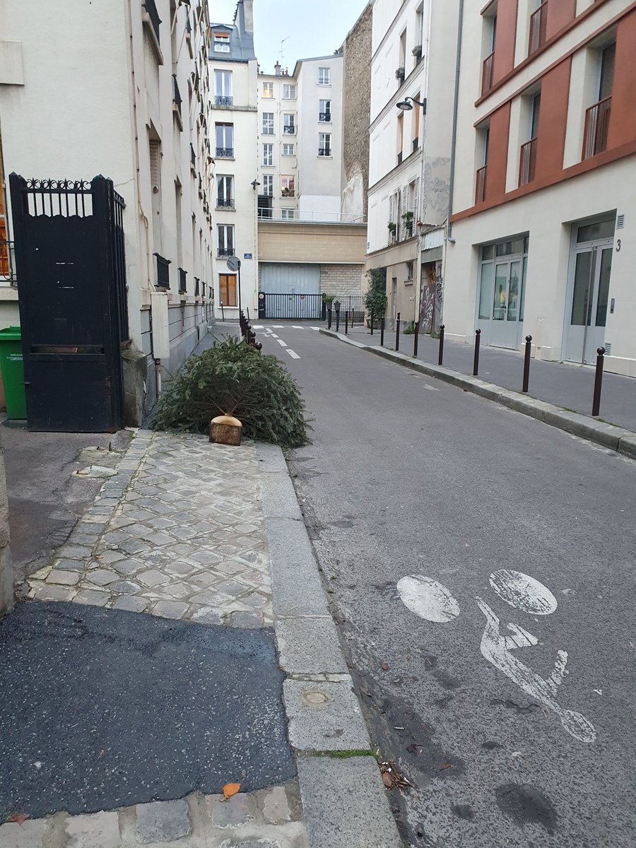 Imaginons. Je suis non voyant, ou "PMR", ou je pousse une poussette, ou je suis chargée ... bref, à cause d'un sapin, je dois aller sur la chaussée, faire attention aux vélos qui viennent d'en face, aux voitures qui viennent par derriere et à la sortie de voitures à gauche #Paris