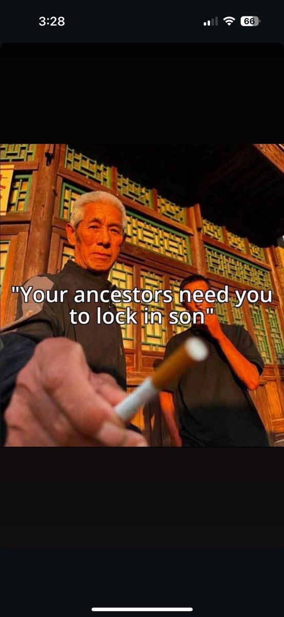 MotusDAO tweet media