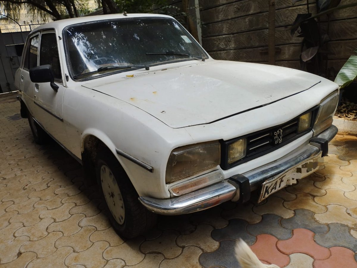 Kamùdù Dragon tweet media