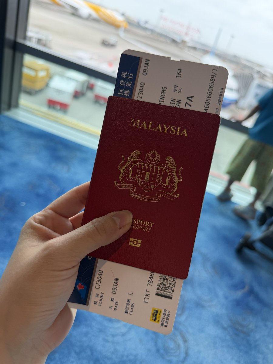 Ping Ping tweet media