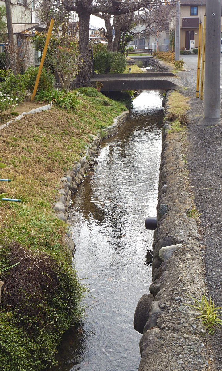 frog_frog's tweet image. 一の宮用水が路地に沿って流れる
〔日野市〕