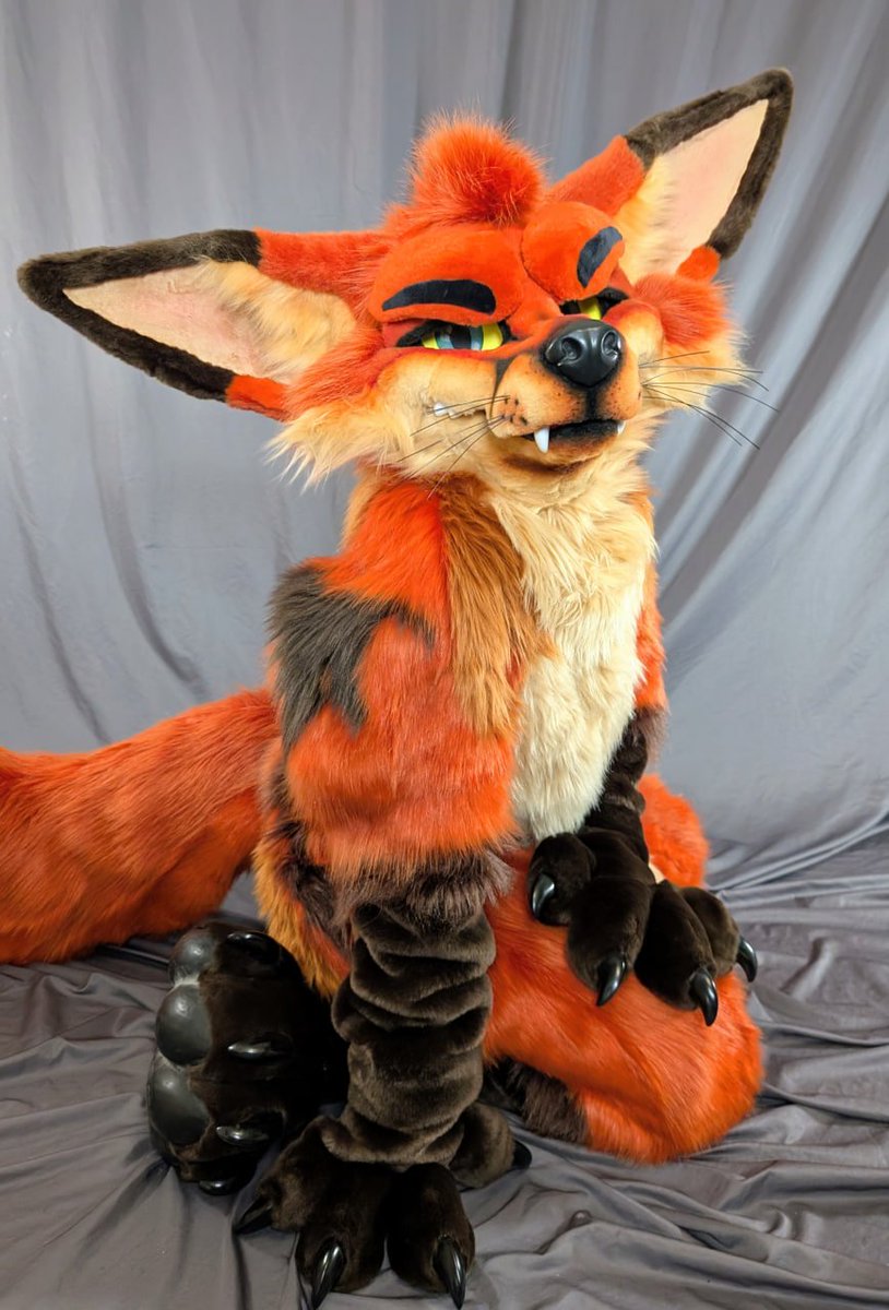 Check out Kimchi and other new critters now up for adoption on our new MFL website!
#FursuitFriday 

morefurless.com