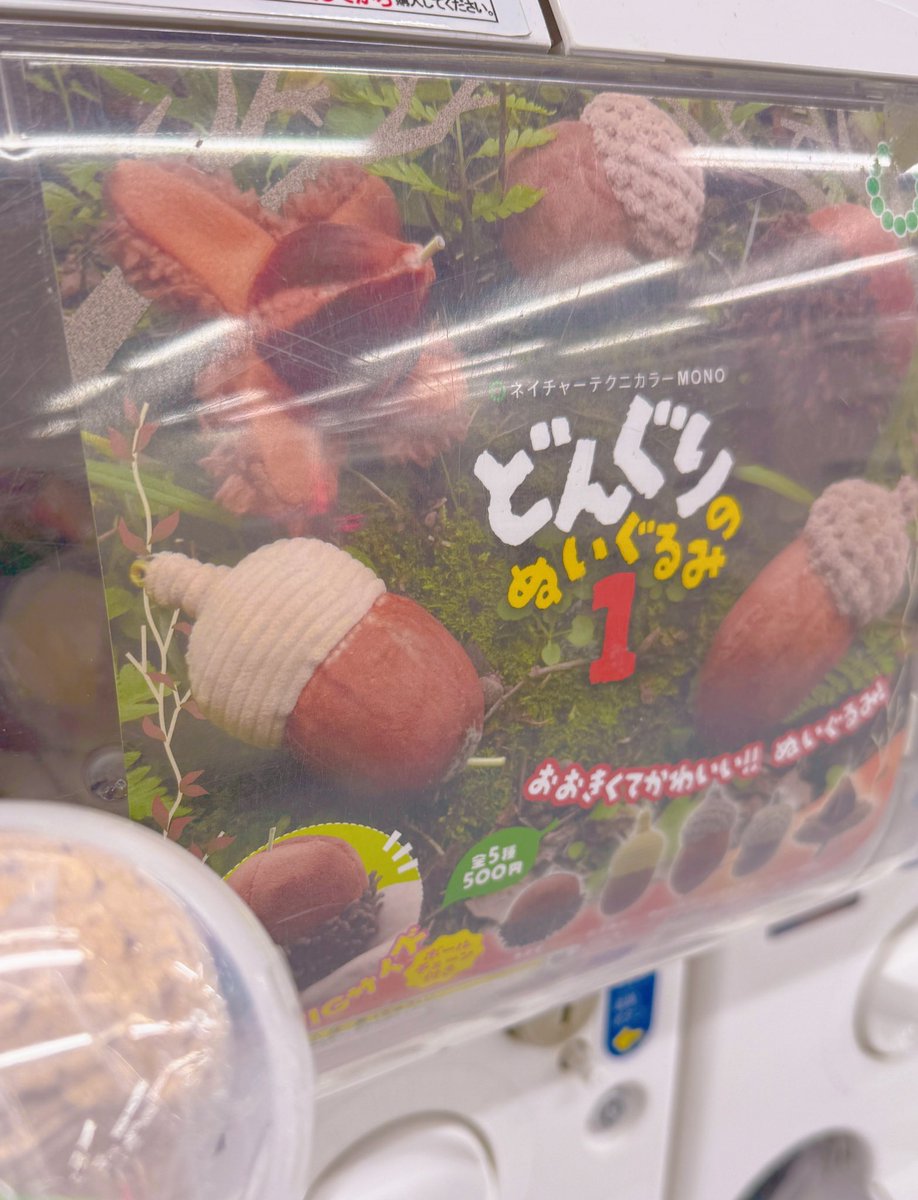 どんぐり、可愛すぎる……( ᵕᴗᵕ )♡ #シルバニア