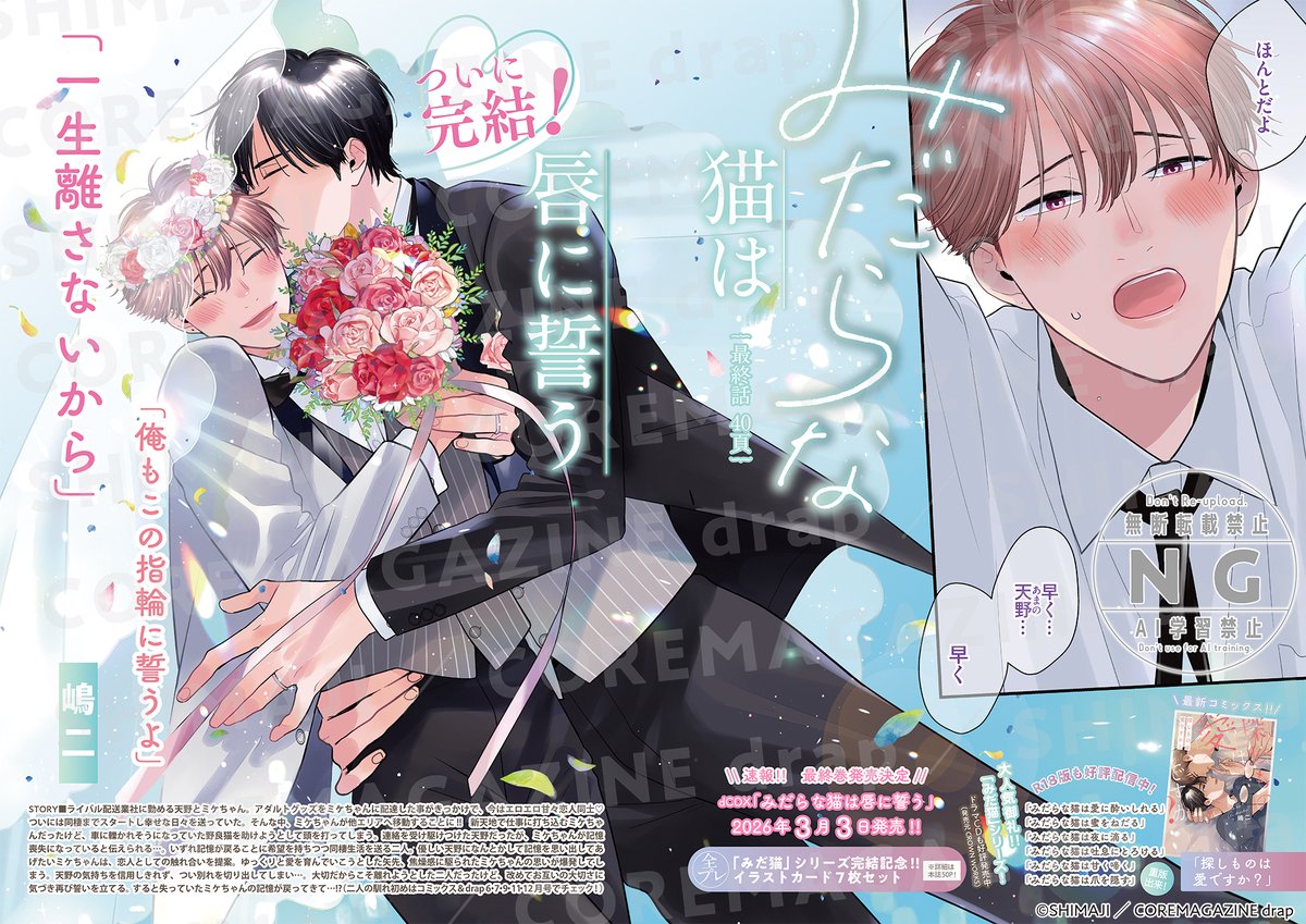 BL］みだらな猫は甘く啼く 嶋二 コミコミスタジオ 特典 BL］みだらな猫