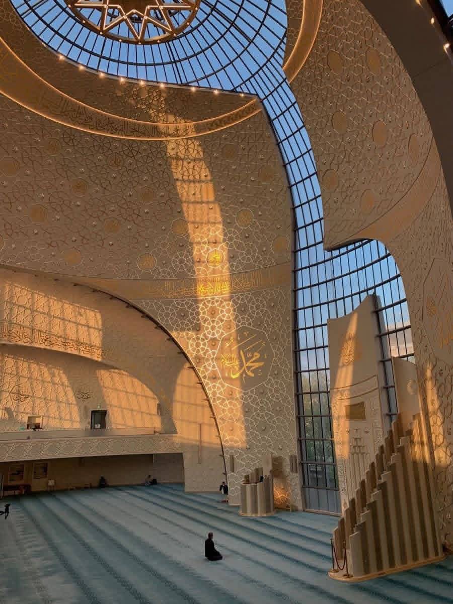 unfmariam's tweet image. ﴿ وَلَن تَجِدَ مِن دُونِهِ مُلْتَحَدًا ﴾
المُلتحد: الملجأ

-الكهف (27).