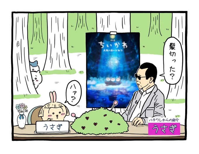 映画の告知に来た うさぎ 