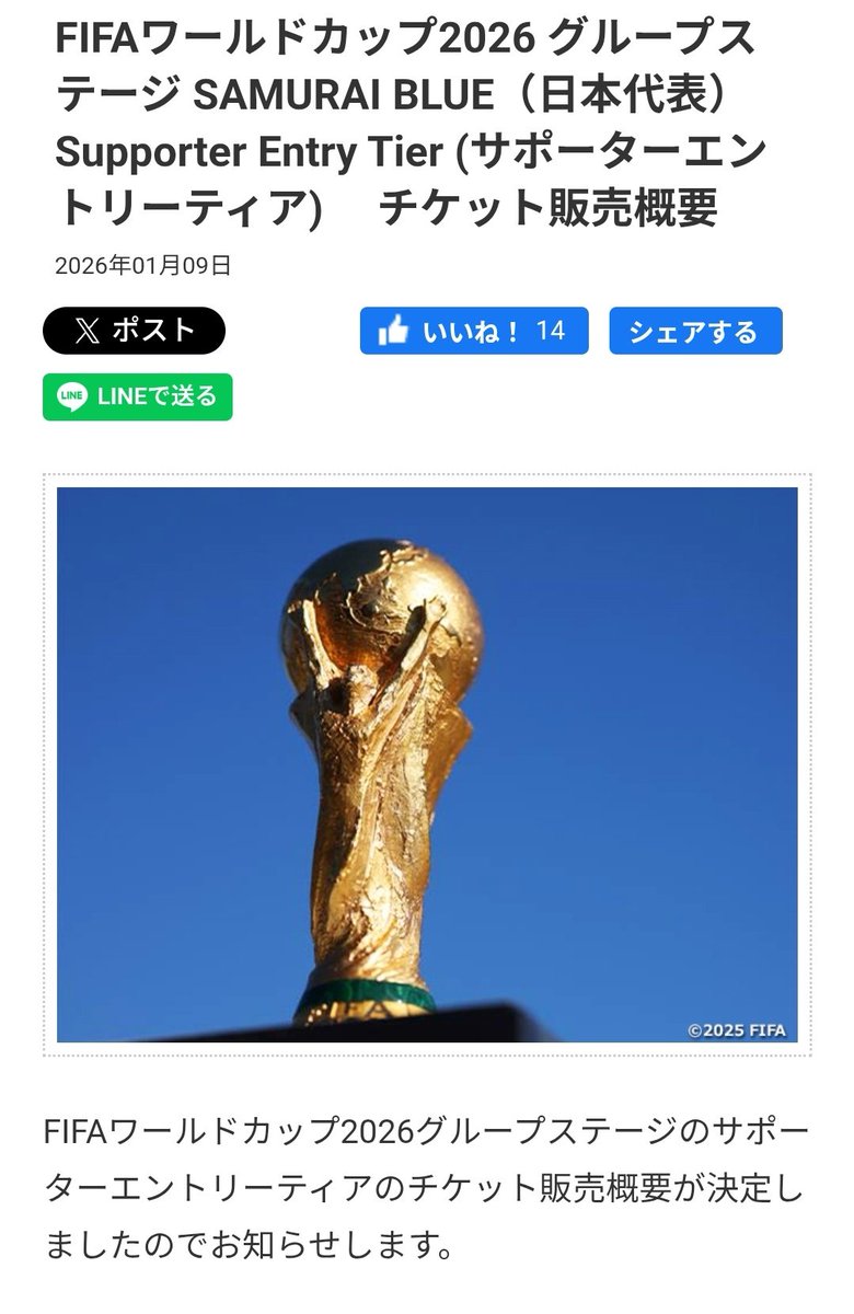サッカーワールドカップ未使用チケット 使用不可 サッカー ワールドカップ チケット 日本対ブラジル FIFA