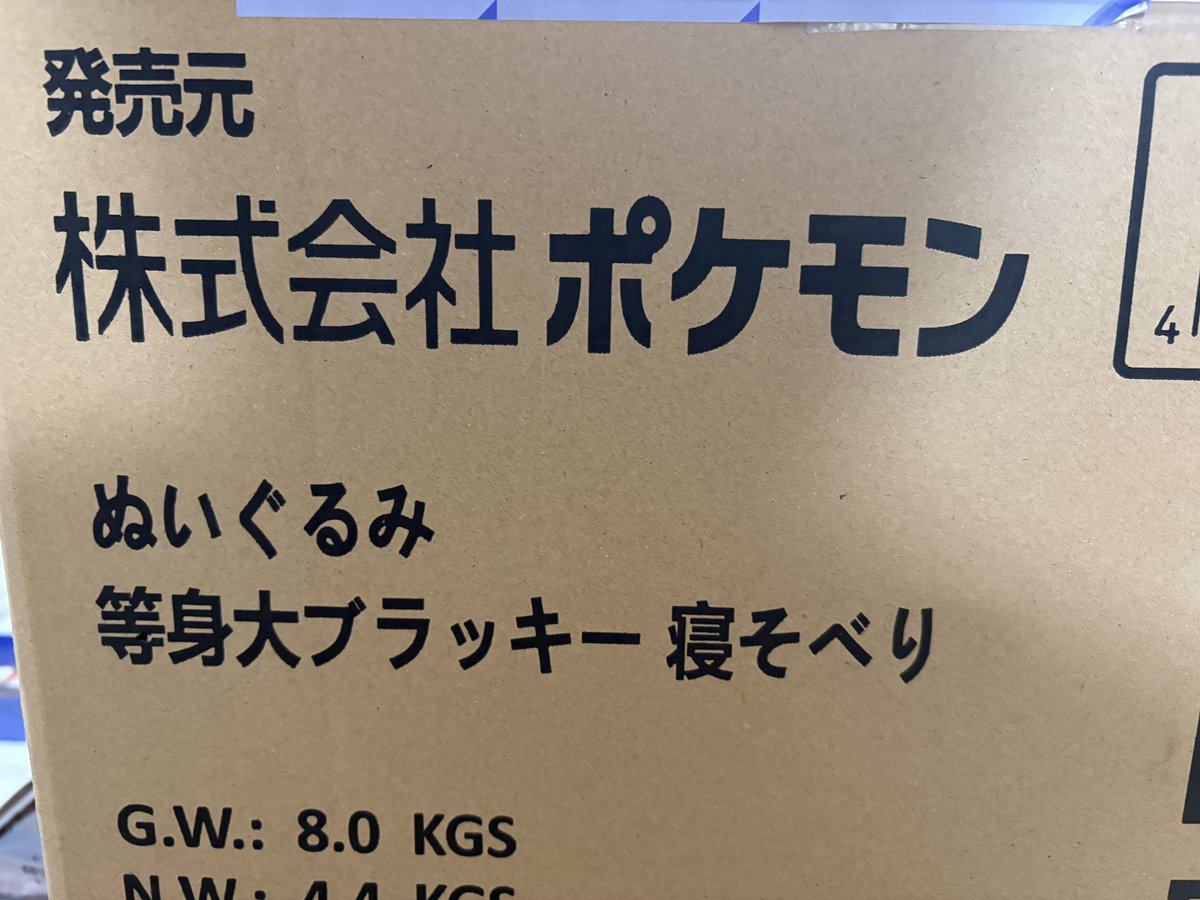 pani_ovtk's tweet photo. 等身大ブラッキー、無事届きました！

これがブラッキーの触り心地なのか… https://t.co/3YpafVft1T
