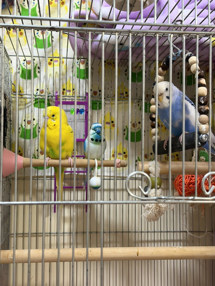 ゆみぞー (@sDIcfDcDte40592) / Posts / X