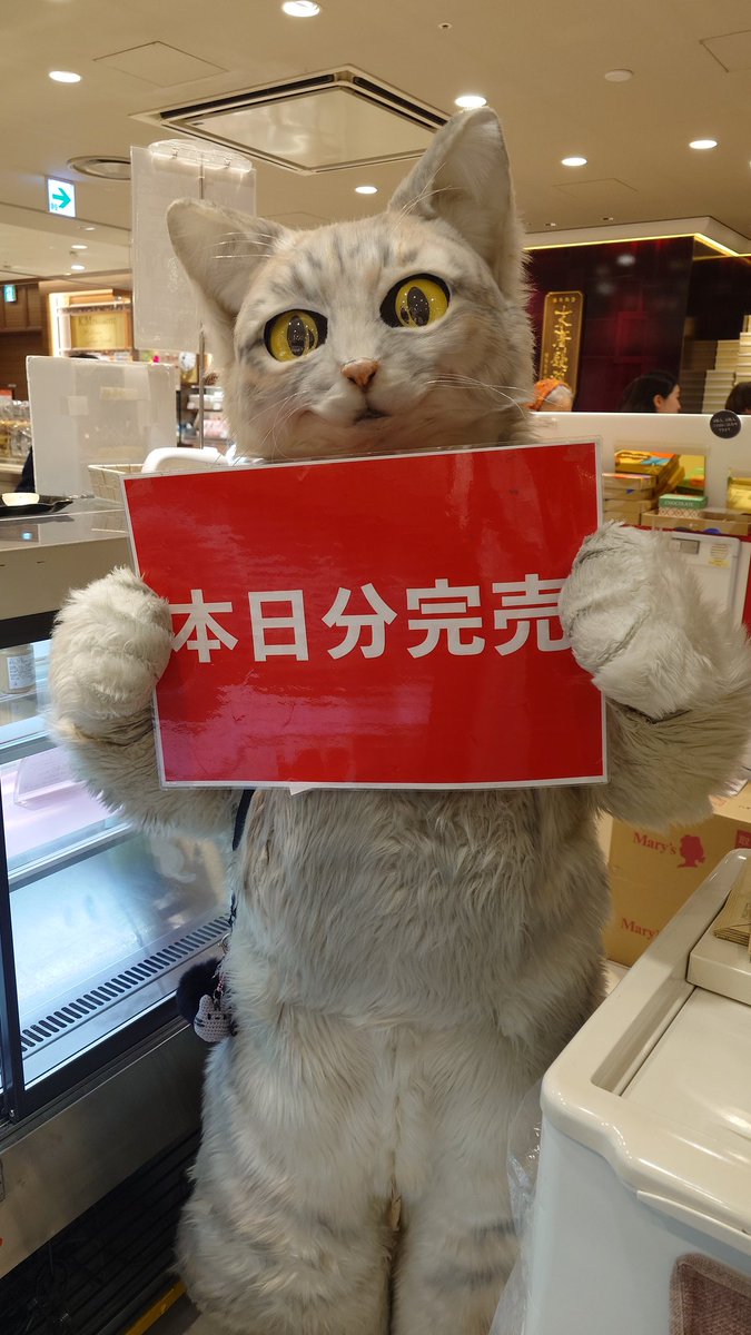 プリン専門店♪坂の上の猫♪ 源田 晃一 【公式】 (@sakanouenoneko1