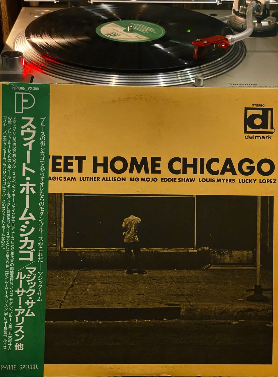 kohey_tsuchiya's tweet image. ☮️ 夜な夜なシカゴ徘徊
🔸🔸🔸🔸
#MagicSam #LouisMyers
#blues #boogie #randb
#compilationalbum
#vinylrecords
#pvinespecial