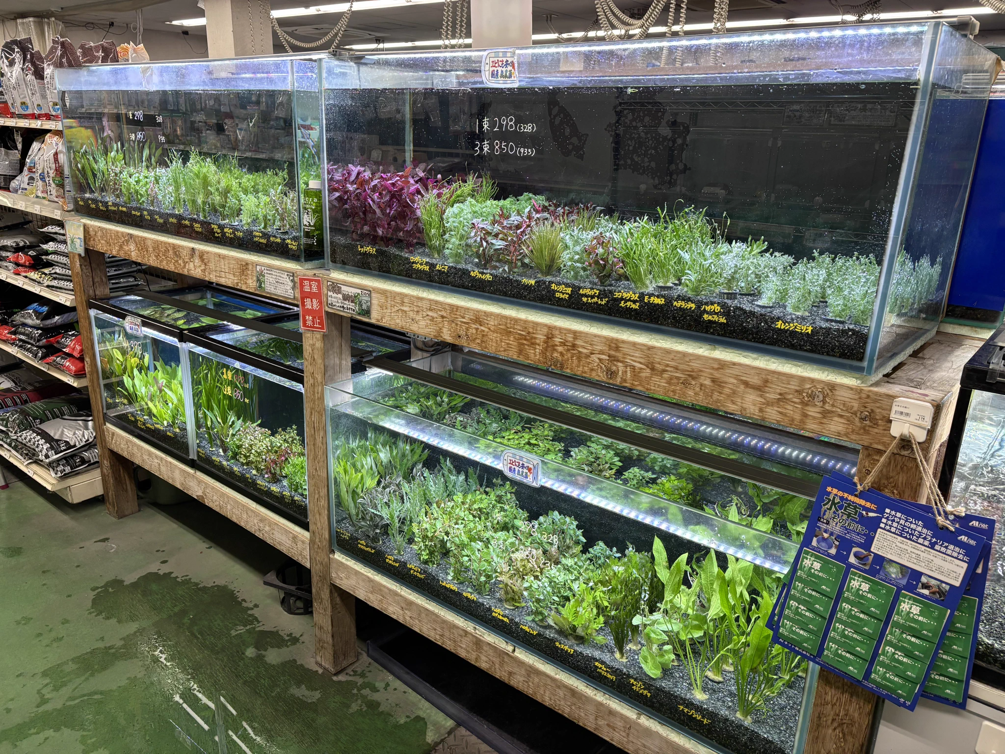 かねだい 草加 店