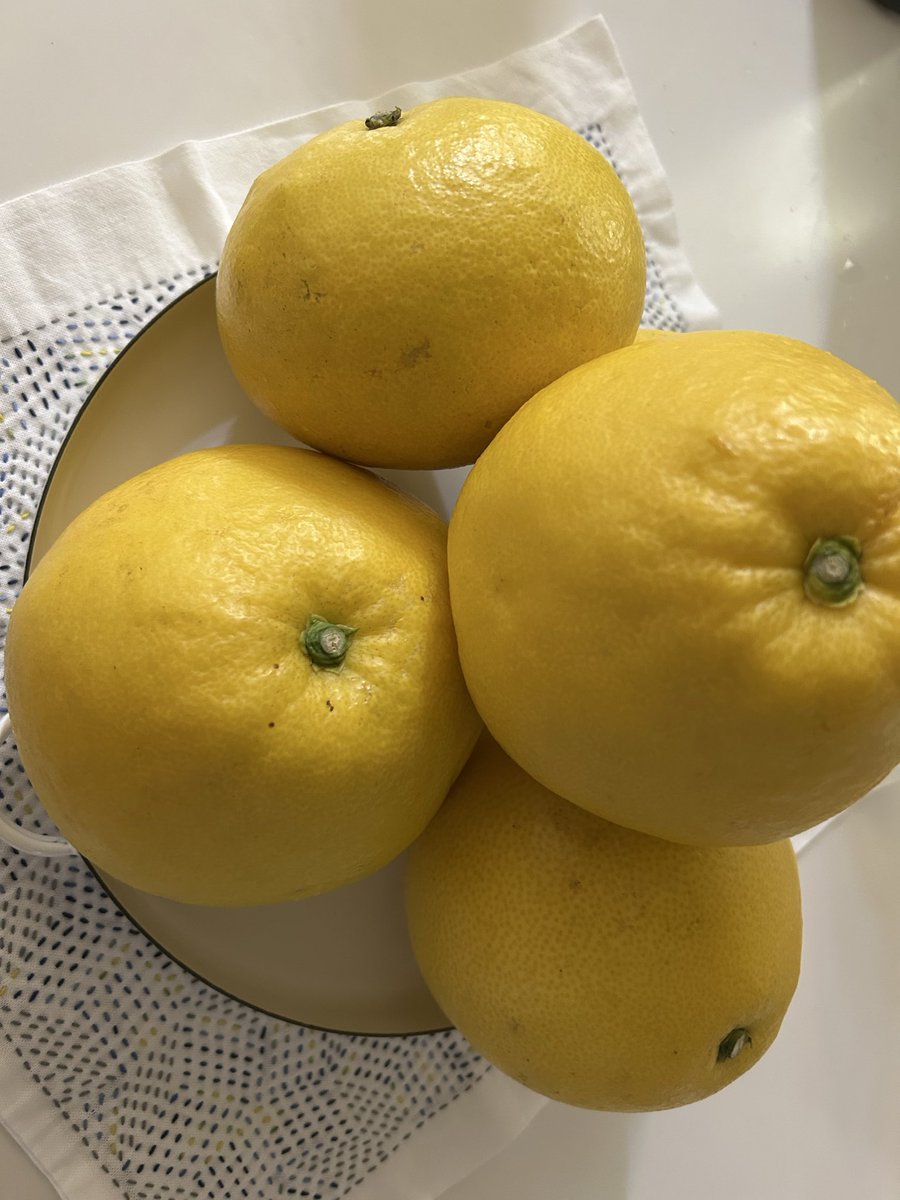 SERS43541322's tweet photo. Buntan 文旦Marmalade 🍊
#Homemade
#Orangemarmalade
#Orangepeel
#文旦マーマレード
#愛媛愛南町
#ふるさと納税 https://t.co/q7PyVXVxYt