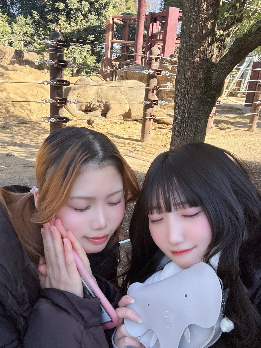 あっとほぉーむカフェぷてら つらら🤍 (@athome_tsurara) • Instagram photos and videos