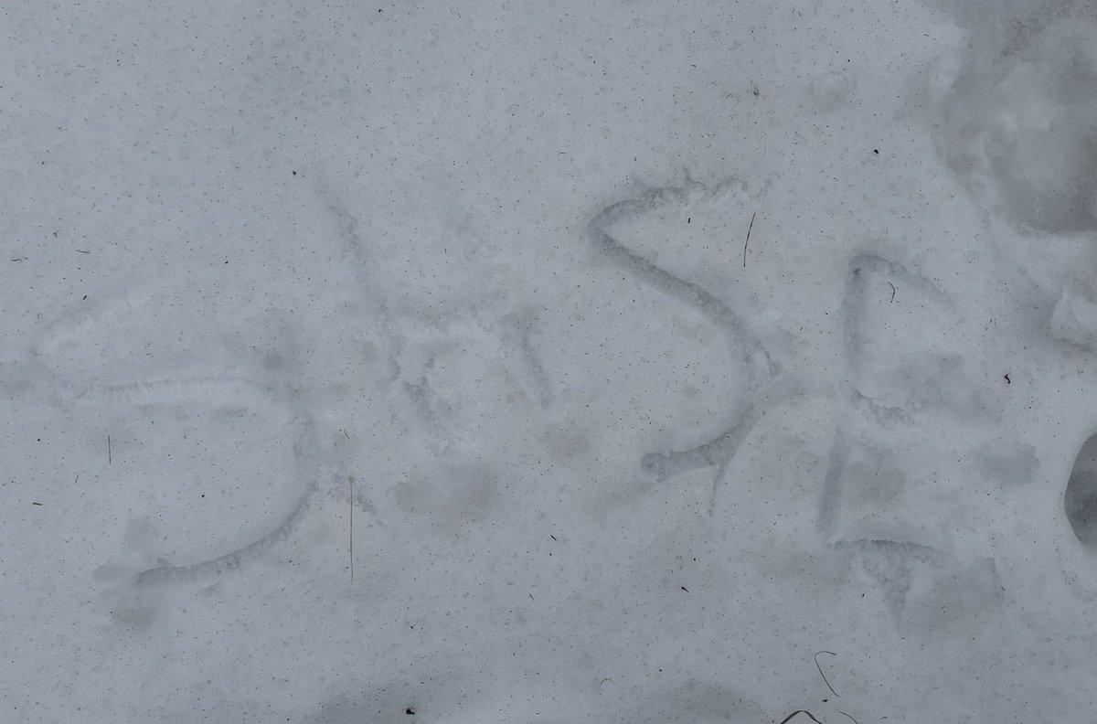 barely visible but i tried yall 💔