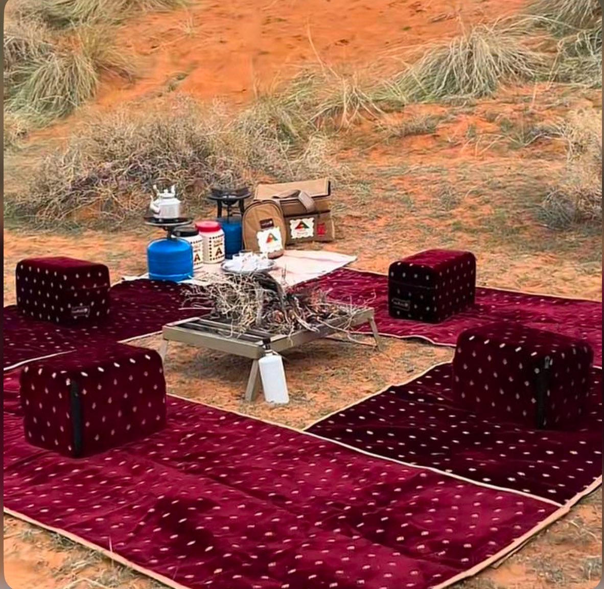 سامي الحريري 🇸🇦 tweet media