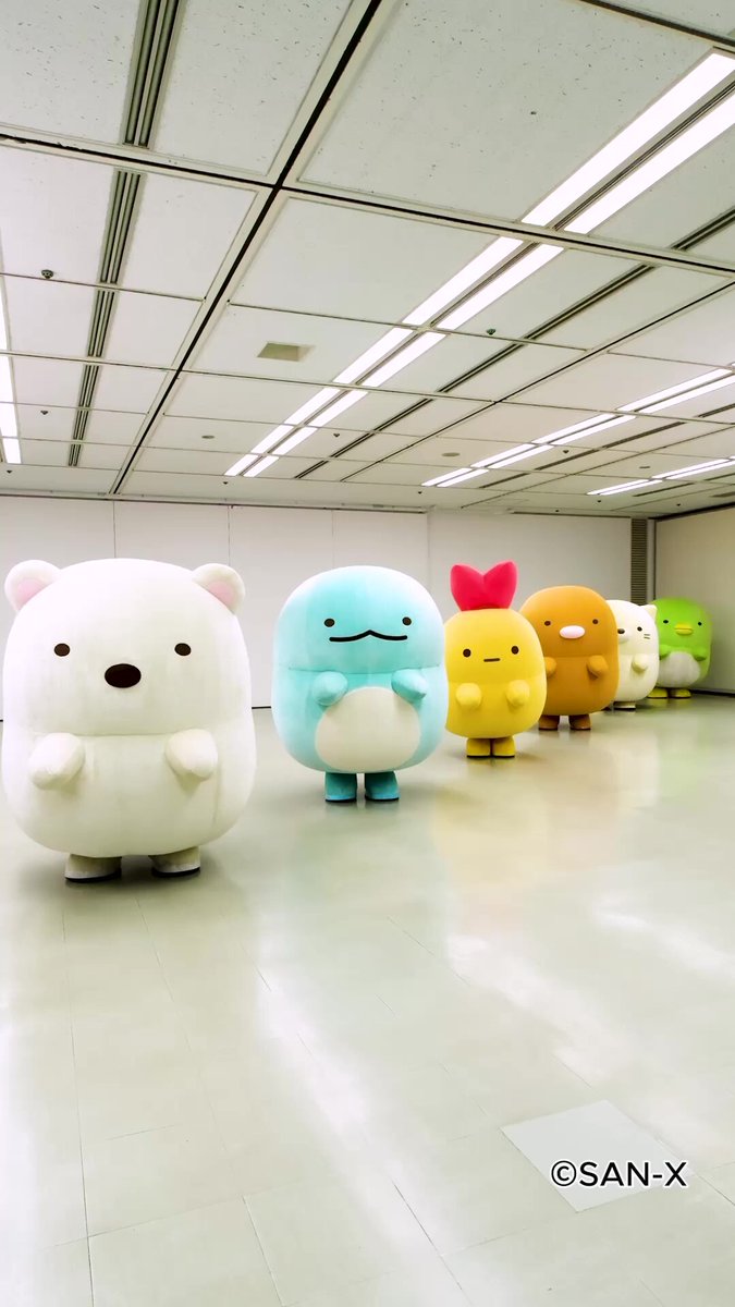 すみっコ大好き様　【専用ページ】 すみっコぐらし【公式】 (@sumikko_335) / Posts / X