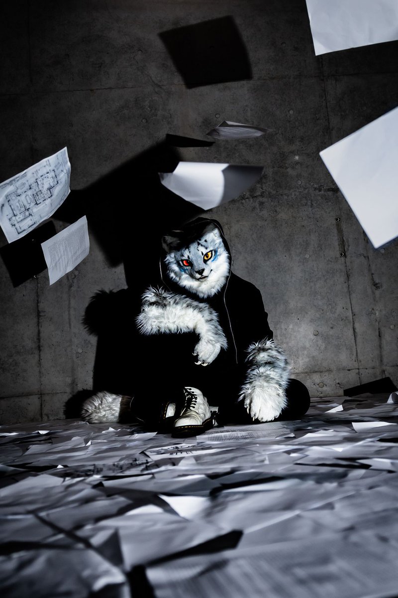 jfpc_officialen's tweet photo. Japan Furries Photo Competition 2026
Theme: SCHEME
Grand Prix 2026 Nominated

"What do you want?"

Photography by Inusuke Haruhata / @ahodog_002 / Japan(日本)
#JFPC2026 https://t.co/0P8MuyyKiO
