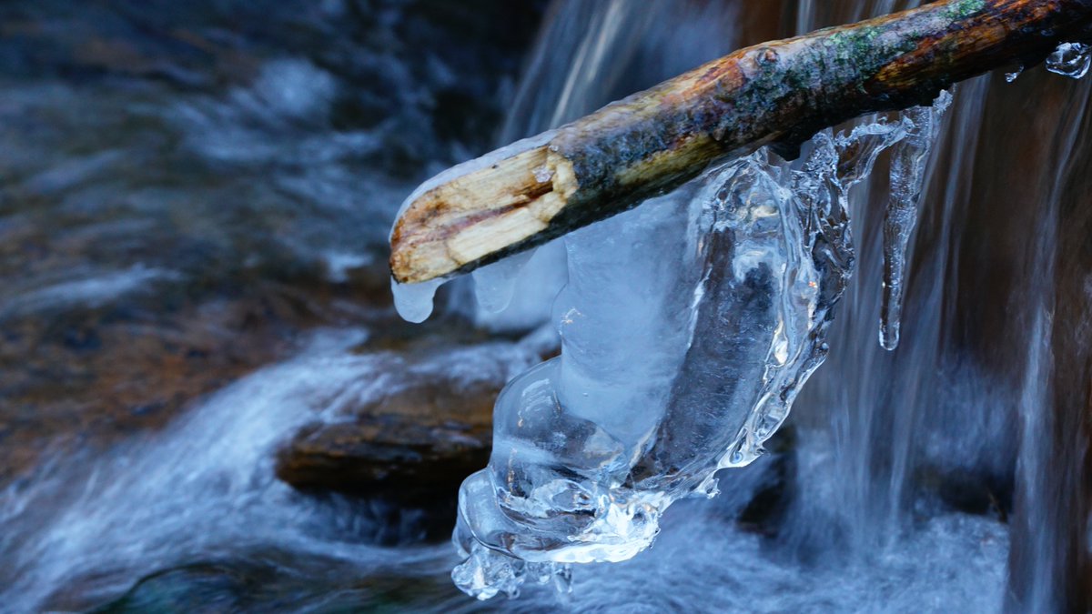 Zimní království💨🌧️❄️!
Konečně i tady u nás v dolině nasněžilo. Příroda se zavrtala do bílých naducaných peřinek, Robin teď má svůj domeček jako miniaturní iglů. Na sněhu jsou vidět nejrůznější ťapičky a tlapičky, na přepadu pod tůňkou se tvoří ledové rampouchy ...
Prima den🙂
