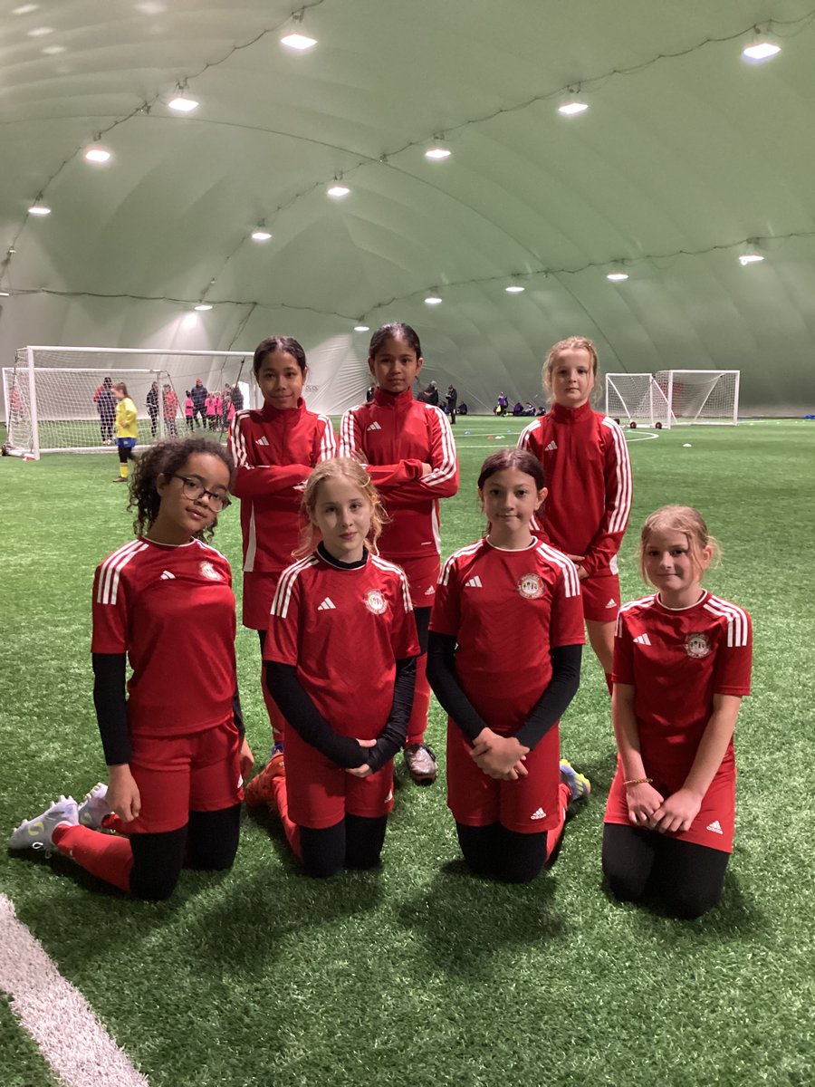 Highlees Primary tweet media