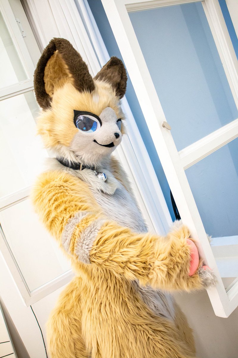shellpwe's tweet image. #furry #FursuitFriday #着ぐるみ

창문을 닫아달라고? 싫.어.😝
窓を閉めて欲しい？い。や。だ。😝

📸 : @halfcat0715