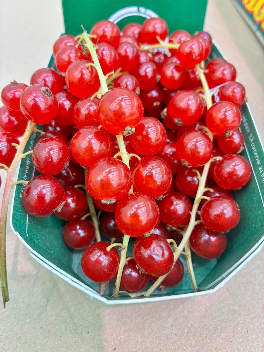 mercamadrid_hoy's tweet photo. 🆕¿Has probado las #grosellas 🔴?

👍🏻Estos #berries presentan un exquisito y original sabor #agridulce y nos aportan gran versatilidad en cocina ✅

🍽️Puedes consumirlas crudas, y añadir en mermeladas, batidos o helados 

👉🏻En tu #comercio local

#vistoenmercamadrid https://t.co/nDoc659cAC