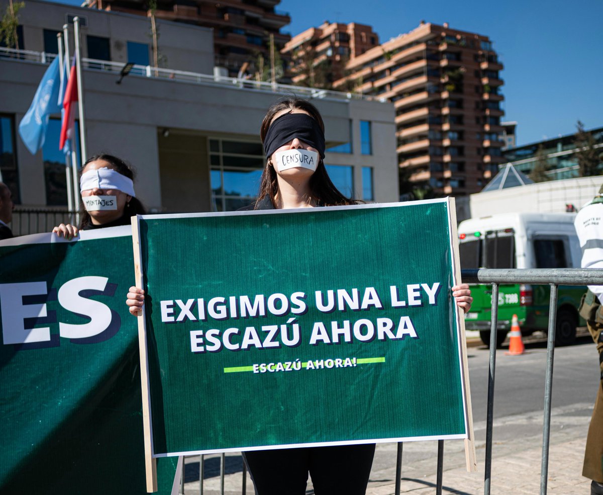 Protection International tweet media